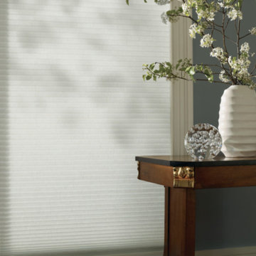 Honeycomb Shades
