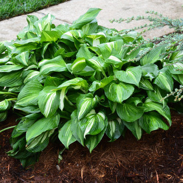 Norman, OK Landscaping Renovation