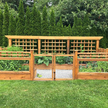 Backyard Garden