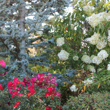 Planting to enclose the garden