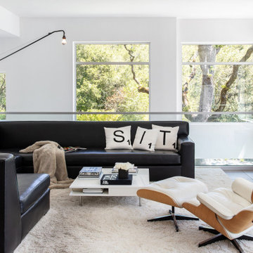 Orinda Hills, California Minimalism