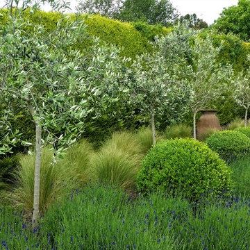 Delgany, Co Wicklow. Large Garden.