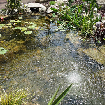 Random Ponds