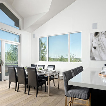 Aspen, Colorado Transitional Residence-Alpine White Oak