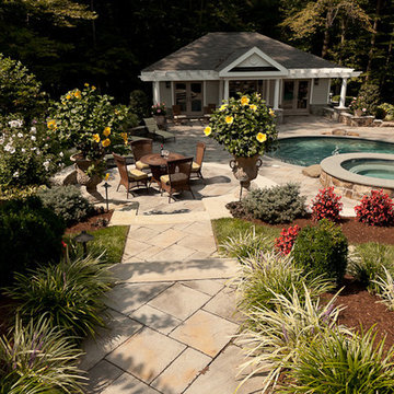 Backyard Pool Landscape