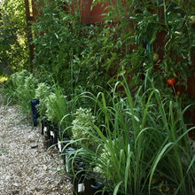 Gardening