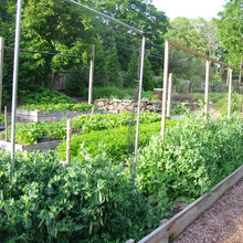 Nutzgarten