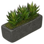 House of Silk Flowers, Inc. - Artificial Green Aloe Garden in Black Sandy-Texture Rectangle - You will never have to worry about caring for your succulents again with this artificial aloe garden handcrafted by House of Silk Flowers. This arrangement features a grouping of artificial aloe "potted" in a sandy-texture ceramic vase measuring 11" wide x 4" deep x 4.25" tall. The aloe have been arranged for 360*-viewing. The overall dimensions are measured leaf tip to leaf tip, from the bottom of the planter to the tallest leaf tip: 11" wide X 4" deep X 7" tall. Measurements are approximate, and will be determined by your final shaping of the plant upon unpacking it. No arranging is necessary, only minor shaping, with the way in which we package and ship our products. This product is only recommended for indoor use.