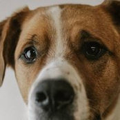 Valorie Juergens's photo