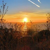 Michelle Sprague Joyce's photo