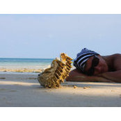 Angel Sokolova's photo