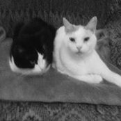Dorothy Lou Schuster's photo