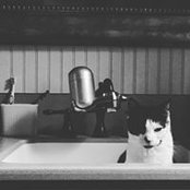 Shannon Paasch's photo