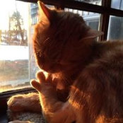 Jocelyn Thomas's photo