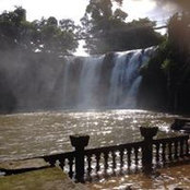 Helen Longhurst's photo