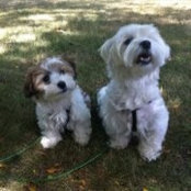 Janet Avigne's photo