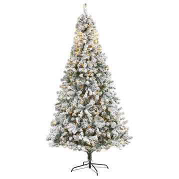 7' Flocked Rock Springs Spruce Christmas Tree / 350 Clear LED Lights