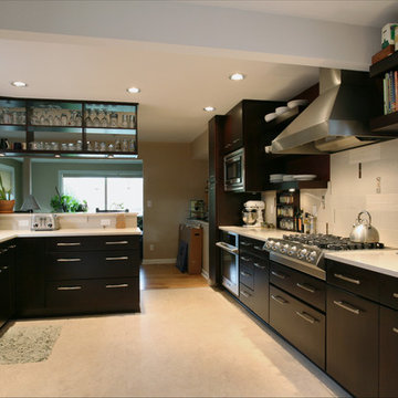 North Portland Contemporary Kitchen Remodel