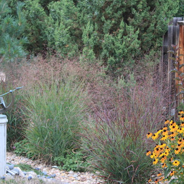 Oriental Spice Xeriscape in Lakewood
