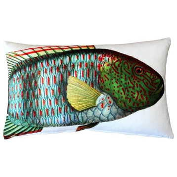 Pillow Decor - Maori Wrasse Fish Pillow 12 x 20