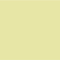 Dulux Citrino - Paint