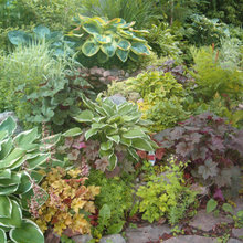 Shade Garden