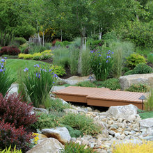 Creek landscaping ideas