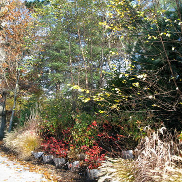 Berms