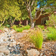 Rock features for front