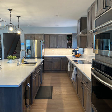 Oak Lawn Kitchen remodel