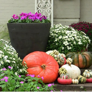 Fall Seasonal Pumpkin Display
