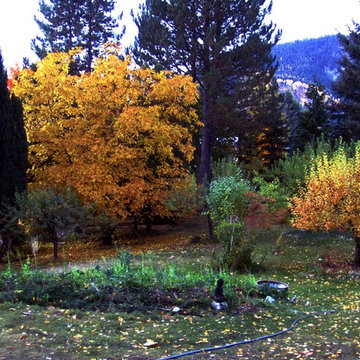 Blewett Acres Orchard & Edible Garden