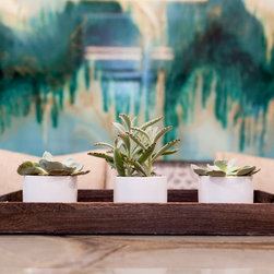 TIPLER Design Showroom - Products