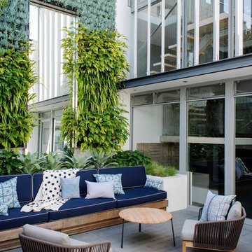 Rose Bay landscape design
