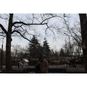 Foto de Rosaknny Durán
