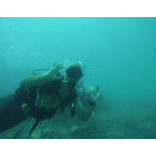 Mark Grolimund's photo