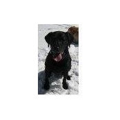 Ryan Walter's photo