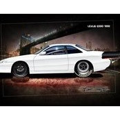Michael Maldonado's photo