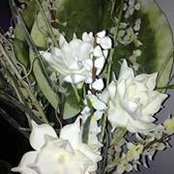 Foto von Michelle Labelle