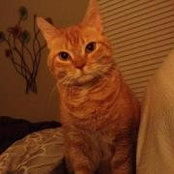 Mary Metz's photo