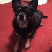 Dena Bennefield's photo