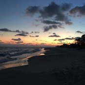 Peggy Grace's photo