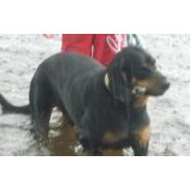 Renee Zevan Bensley's photo