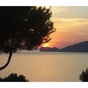 Magnolia Vine's photo