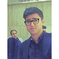 Ramin.hasani