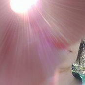 Sherry Yu's photo
