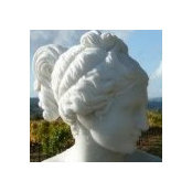 Suzanne Knowlton's photo