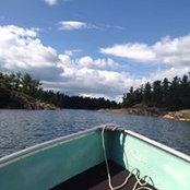 Ann Foley's photo