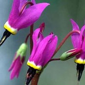 Corie Jones's photo