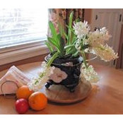 Barbara Ross's photo